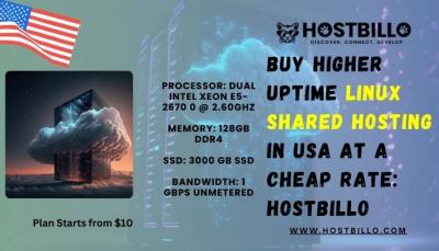 Buy Higher Uptime Linux Shared Hosting in USA at a Cheap Rate: Hostbillo - Surat Hosting