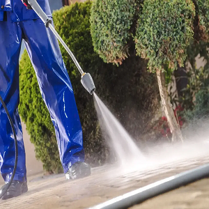 Top-Rated Pressure Washing Services in Chicago: Transform Your Property Today - Other Other