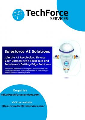 Salesforce AI Solutions-TechForce Services - Delhi Professional Services