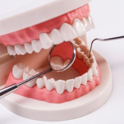 Expert Dental Implants in Kolkata: Quality Care for Your Teeth