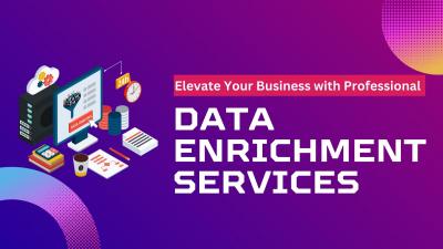 Unlock Your Data's Potential with Our Data Enrichment Services - Other Other