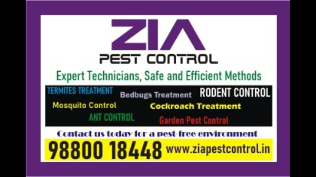 Cockroach Pest control service price just Rs.1200 only | 1854 - Bangalore Other