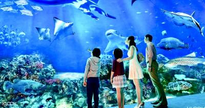 SEA Aquarium cheap ticket discount promotion Adventure cove water park Universal Studios Madame Tuss - Singapore Region Tickets
