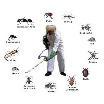 Pest Control Services - Mumbai Other
