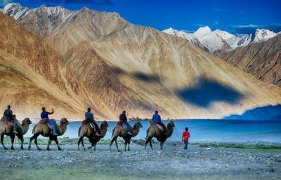 Wildlife Tour In Ladakh India | Birding Wildlife And Cultural Holidays