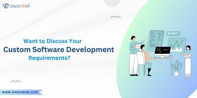 No.1 Best Custom Software Development Agency | SnetzWeb
