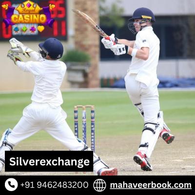Get Your Secure Online Betting ID with Silverexchange - Delhi Other