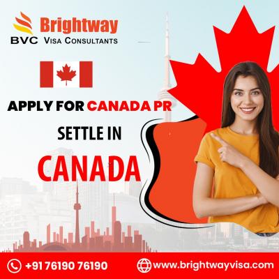 Best Visa Consultants in Ludhiana