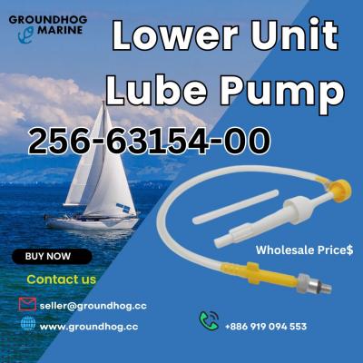 📣 Lower Unit Lube Pump 256-63154-00 - Agra Boats