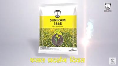 Shriram 1668: Redefining Excellence in Mustard Seeds