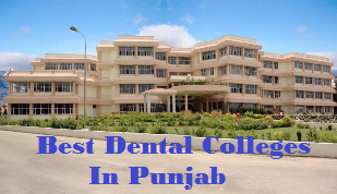 Best Dental College In Punjab - Chandigarh Other