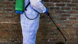 Pest Control in Randburg - JT Solutions - Johannesburg Other