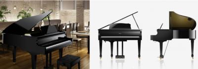 Buy Digital, Acoustic and electric pianos at best prices from Vibe Music - Kolkata Musical Instruments
