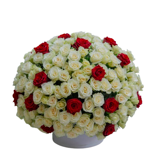 Order 50 Rose Bouquet for Every Emotion - Dubai Home & Garden