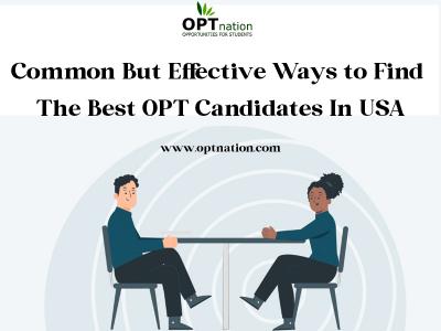 Common But Effective Ways to Find The Best OPT Candidates In USA  - New York Professional Services