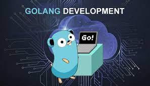 Elevating Excellence with Golang Development Services in Florida 