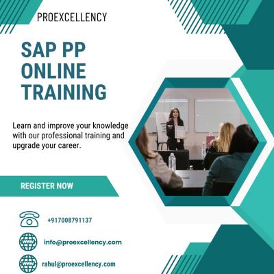 Dive Deep into SAP PP: Expert-Led Online Course - Bangalore Professional Services