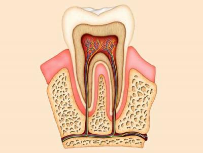 Advanced Root Canal Treatment (RCT) Solutions at Dentistium - Ahmedabad Other