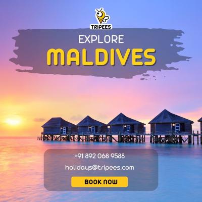 Maldives Holiday Packages - Other Other