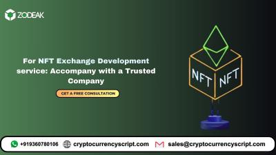 For NFT Exchange Development service: Accompany with a Trusted Company