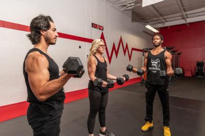 Personal Training in Oakville - Toronto Health, Personal Trainer