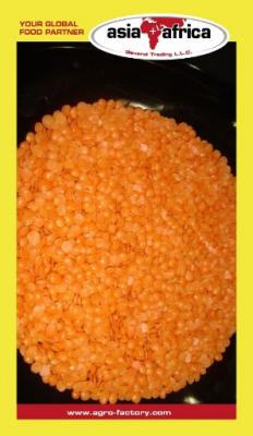 Purchase the Best Quality Red Split Lentils Online - Dubai Other