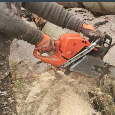 Arborist Tree Removal Service  - Other Maintenance, Repair