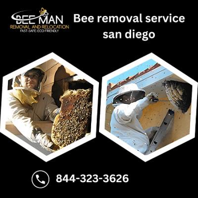 Bee removal service san diego - Colorado Spr Animal, Pet Services