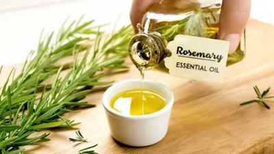 Best Brands Rosemary Essential Oils For Prevent Hair Fall And Hair Regrowth - Delhi Health, Personal Trainer