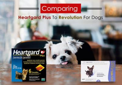 Comparing Heartgard Plus To Revolution For Dogs