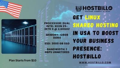 Get Linux Shared Hosting in USA to Boost Your Business Presence: Hostbillo - Surat Hosting