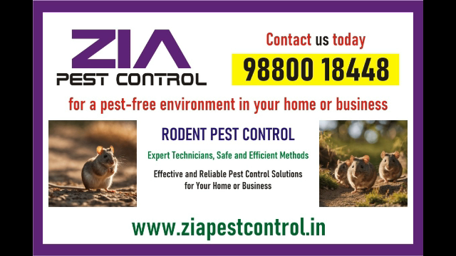 Rodent control services | Service price starts from Rs.999/- only | 1864 - Bangalore Other