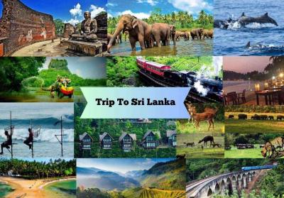 Hilltop Havens & Hidden Beaches: Unveiling Sri Lanka's Diverse Delights - Delhi Hotels, Motels, Resorts, Restaurants