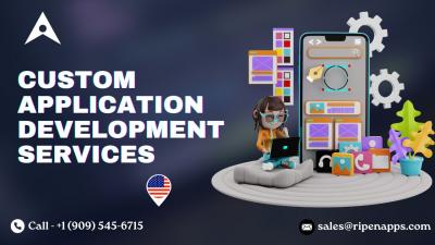 Custom Application Development Services | Specialized App Solutions - Dallas Professional Services