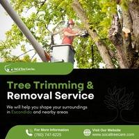 Tree Trimming and Removal in Escondido
