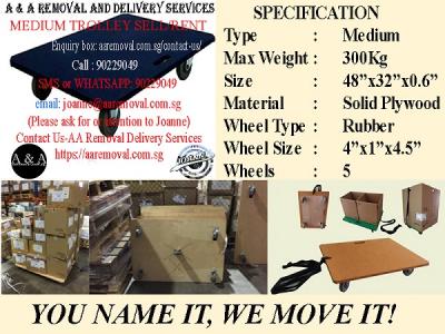 We Sell Quality Trolley w/Max Weight Cap.300Kg For Your Moving Services - Singapore Region Other
