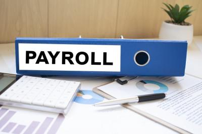 Experience Efficient & Customised Payroll Bureau Services in Surrey - Other Professional Services