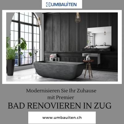 Modernisieren Sie Ihr Zuhause mit Premier **** Renovieren in Zug  - Zurich Other