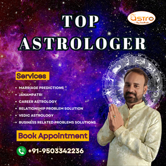 Top Astrologer                            - Nagpur Other