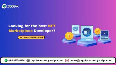 Looking for the best NFT Marketplace Developer?