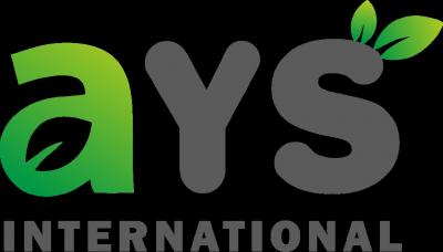 Premium Dehydrated Onion Exporter | Quality Dehydrated Vegetables - AYS International - Ahmedabad Other