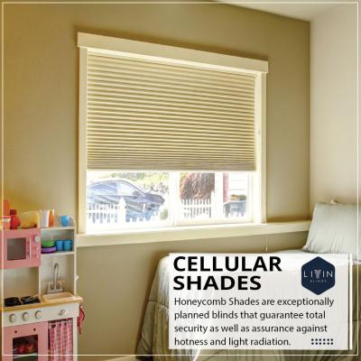 Window Blinds Manufacturers in India - Other Other