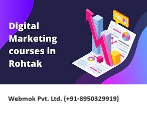Professional Digital marketing institute in Rohtak - Other Tutoring, Lessons