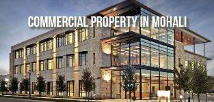 Commercial Property In Mohali - Chandigarh Other