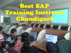 Best SAP Training Institute Chandigarh - Chandigarh Other