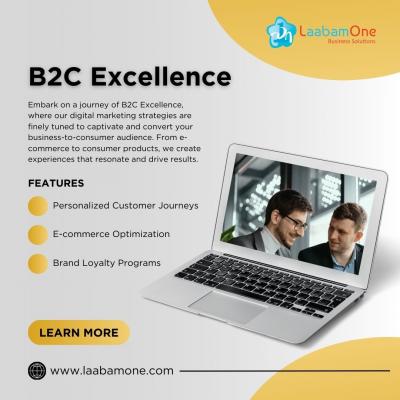 Elevate Your B2C Engagement: Marketing Automation by Laabamone