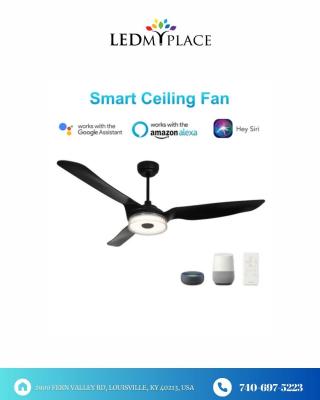 Buy Indoor Smart Ceiling Fans for Your Modernize Space - Louisville Electronics