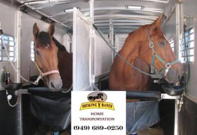 Wondering about horse transport costs in California? - Virginia Beach Other