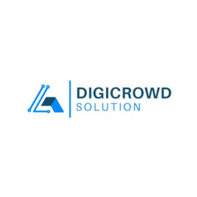 Best Branding Agency For B2B & B2C Businesses - Digicrowd Solution - Lucknow Professional Services