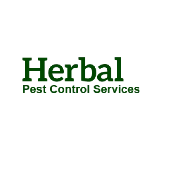 pest control in Mumbai - Mumbai Other